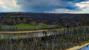 Mac Island Panorama, May 2022