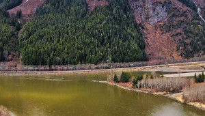 Skeena River