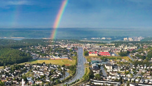 Thickwood Rainbow