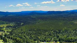 Highway 16 near Topley, BC