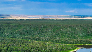 Highway 63 near Northlands Forest Products