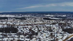 Thickwood Trails in January