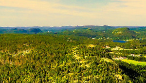 Chapel's Cove, Newfoundland