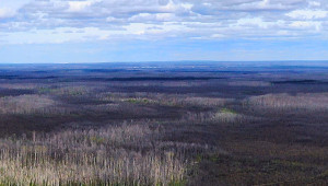Blaise Report, Lac La Biche