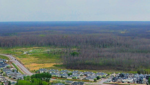 Thickwood