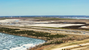 Syncrude Wood Bison Viewpoint
