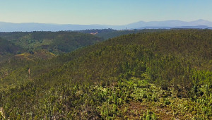 Vale de Ovelha